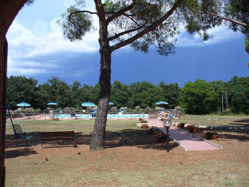 Agriturismo Bronzivalle リオトルト エクステリア 写真