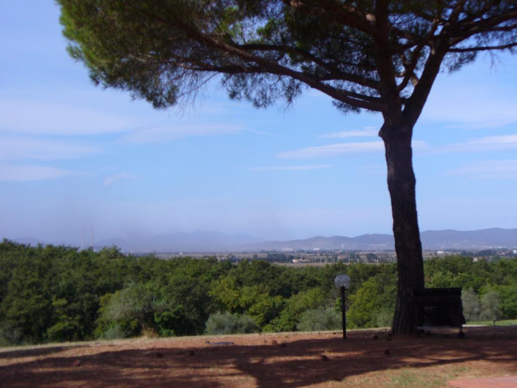 Agriturismo Bronzivalle リオトルト エクステリア 写真